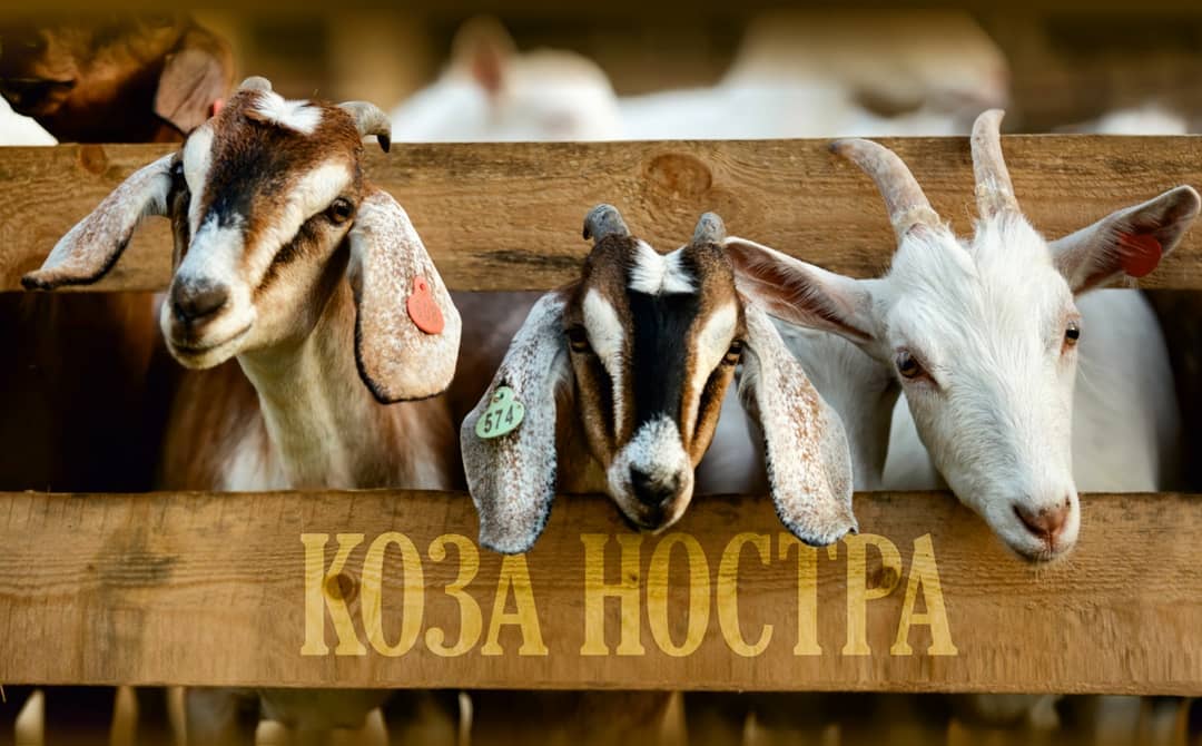 Ферма Коза Ностра