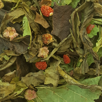 Сухие чайные напитки из дикорастущих трав и ягод