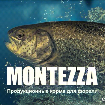 Продукционные корма для рыб MONTEZZA, корм для форели