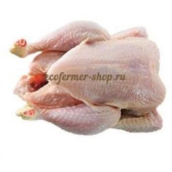 Цыпленок Корнишон 0.3 - 0.6 кг 
