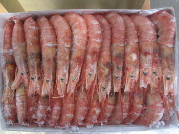 Лангустины (аргентинские креветки) L2