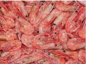 Креветки 120/150  Мурманск