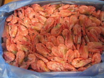 Креветки 90/120 сухая заморозка