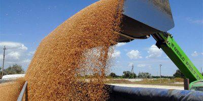 ТВОЙПРОДУКТ: Приамурье побило рекорды по сбору зерна