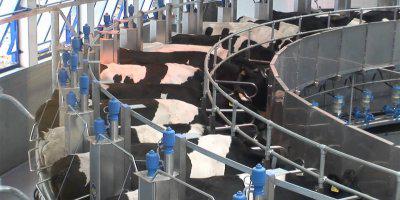 ТВОЙПРОДУКТ: В Коми запущена молочная ферма по новейшим меркам