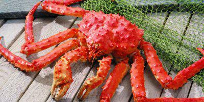 ТВОЙПРОДУКТ: На Сахалине начнут производить морепродукты