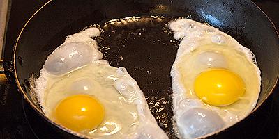 ТВОЙПРОДУКТ: Яйца от КФХ "Трушково поле". Сравнение с яйцом из птицефабрики