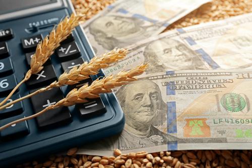 Новости ТВОЙПРОДУКТ: Цены на пшеницу установили новый рекорд