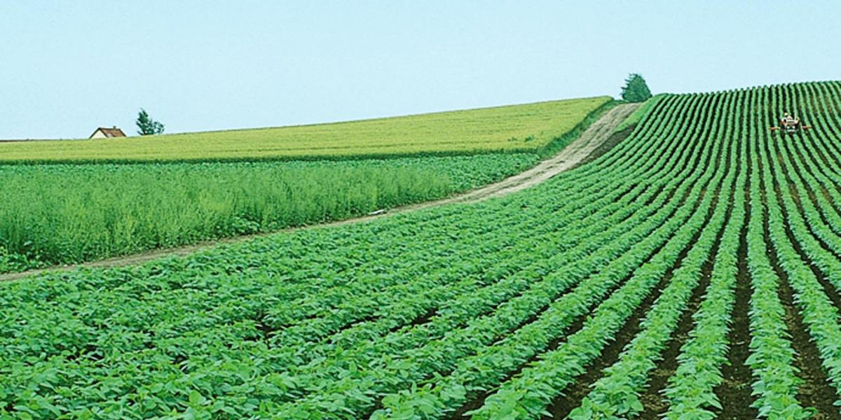Новости ТВОЙПРОДУКТ: Федеральный ИТ-форум агропромышленного комплекса России - «Smart Agro: Цифровая трансформация в сельском хозяйстве».