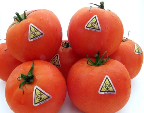 Новости ТВОЙПРОДУКТ: Маркировка продуктов с ГМО стала обязательной