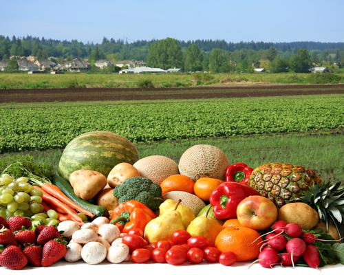Новости ТВОЙПРОДУКТ: Минсельхоз прогнозирует удвоение производства тепличных овощей к 2024 году