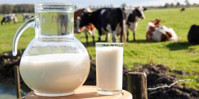 Новости ТВОЙПРОДУКТ: Минсельхоз России: объем реализации молока в сельхозорганизациях вырос на 2,8%
