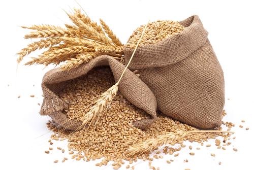 Новости ТВОЙПРОДУКТ: На 10 сентября собрано 85,7 млн тонн зерна