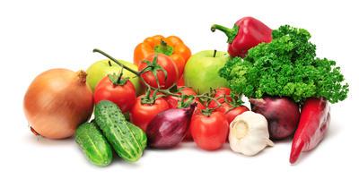 Новости ТВОЙПРОДУКТ: На 28 августа сбор тепличных овощей вырос на 20,4%