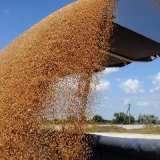 Приамурье побило рекорды по сбору зерна