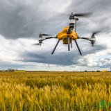 Как дроны помогают агрономам в России