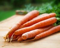 Морковные котлетки: легко и полезно