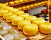 Потребление сыров в РФ в I квартале 2019 года выросло на 26%
