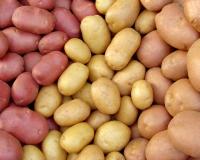 Рентабельность производства картофеля. Последствия картофельного кризиса 2015 год