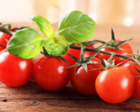 В Бурятии будут выращивать помидоры с лечебным эффектом