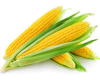 В Подмосковье планируют увеличить площади посевов кукурузы