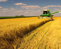 WSJ: рекордные объемы экспорта пшеницы из России угрожают благосостоянию фермеров США