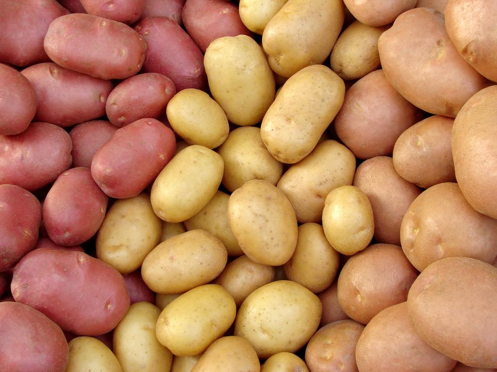 ТВОЙПРОДУКТ: Рентабельность производства картофеля. Последствия картофельного кризиса 2015 год