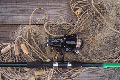 Новости ТВОЙПРОДУКТ: Рыбакам разрешат ловить треску и сельдь до конца декабря