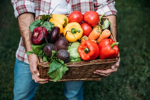Новости ТВОЙПРОДУКТ: В 2019 году урожай тепличных овощей прогнозируется на уровне 1,3 млн тонн