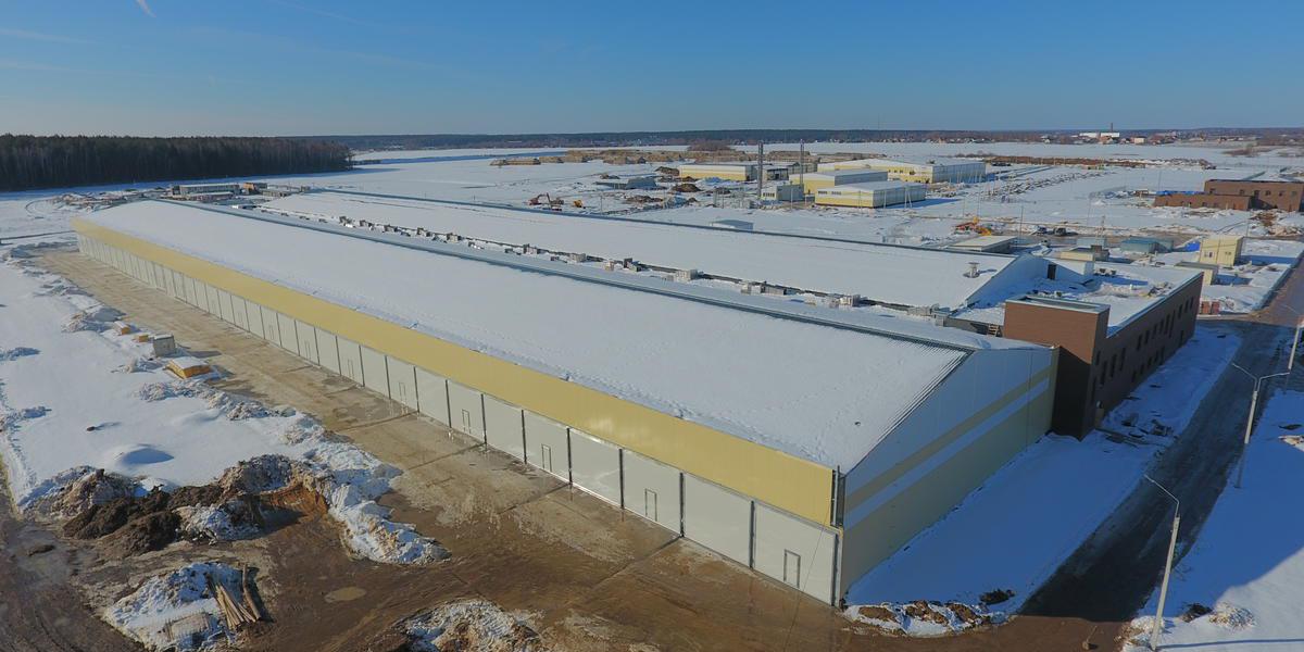 ТВОЙПРОДУКТ: В Калужской области запускается новое производство шампиньонов объёмом 10 000 тонн в год 