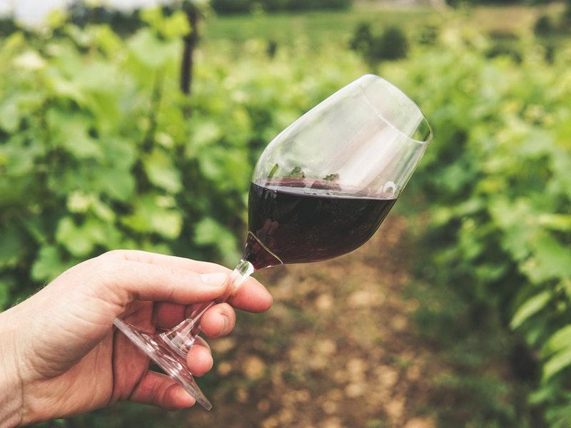 Новости ТВОЙПРОДУКТ: В Крыму втрое увеличилось производство вина
